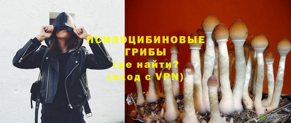 каннабис Арсеньев