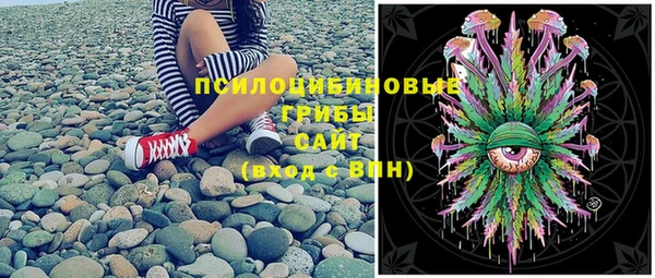 прущая мука Аркадак